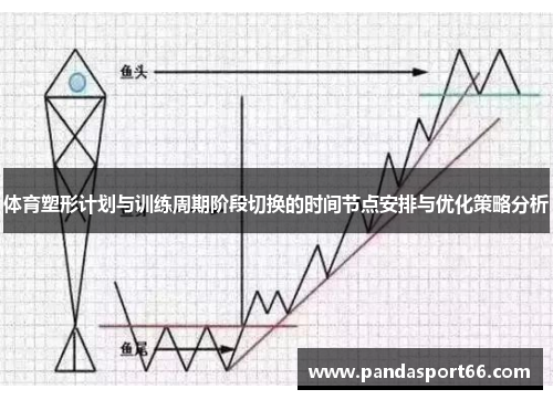 体育塑形计划与训练周期阶段切换的时间节点安排与优化策略分析