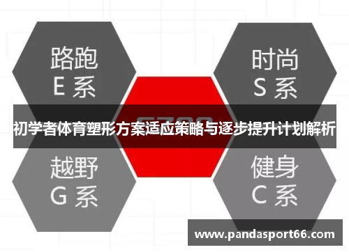 初学者体育塑形方案适应策略与逐步提升计划解析