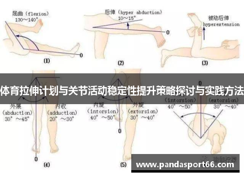 体育拉伸计划与关节活动稳定性提升策略探讨与实践方法