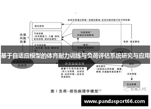 基于自适应模型的体育耐力训练与负荷评估系统研究与应用